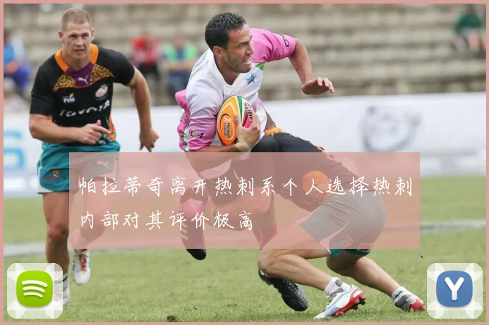 帕拉蒂奇离开热刺系个人选择热刺内部对其评价极高