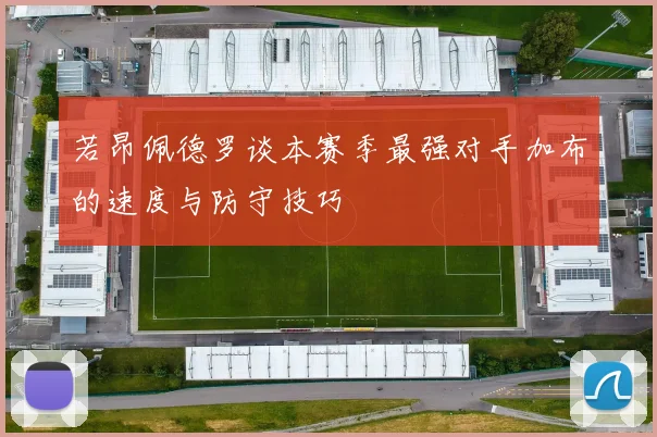 若昂佩德罗谈本赛季最强对手加布的速度与防守技巧